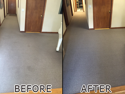 Carpet cleaning before and after Medford